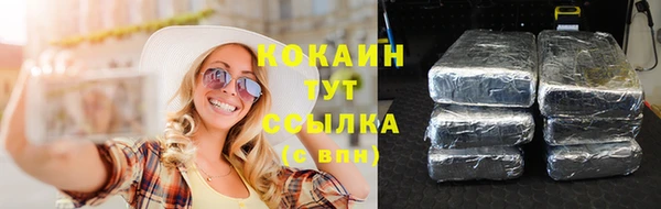 дживик Ладушкин