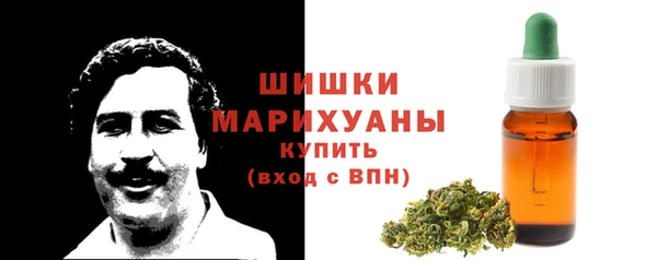 дживик Ладушкин