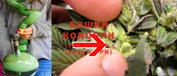 дживик Ладушкин