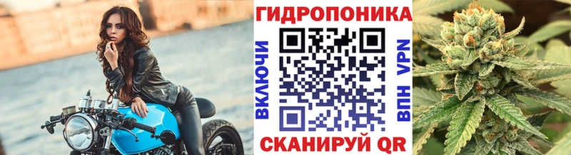 где продают   Цимлянск  Конопля Ganja 